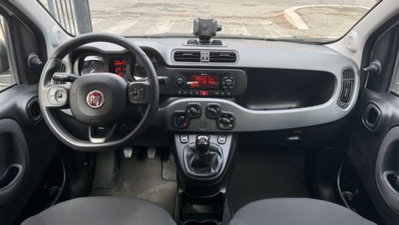 Fiat Panda Cross 1.0 firefly hybrid Cross s&s 70cv 5p.ti (8)