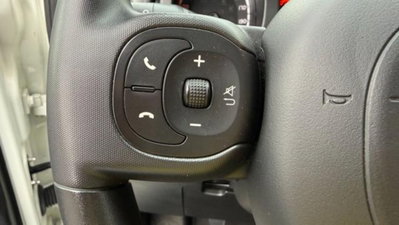Fiat Panda Cross 1.0 firefly hybrid Cross s&s 70cv 5p.ti (9)