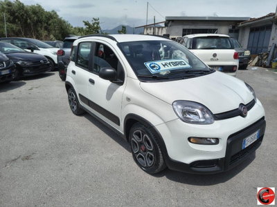 Fiat Panda 1.0 FireFly S&S Hybrid City Life usata