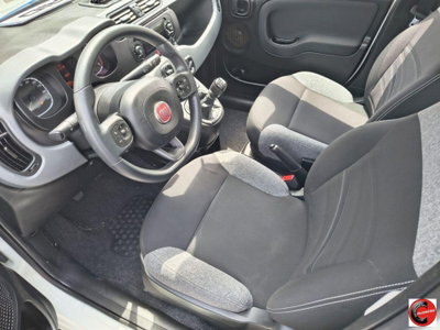 Fiat Panda 1.0 FireFly S&S Hybrid City Life (4)