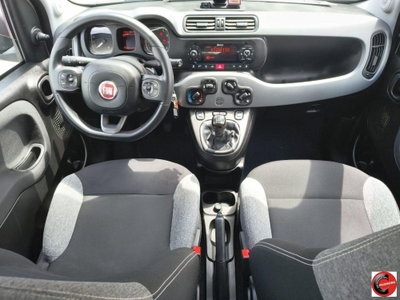 Fiat Panda 1.0 FireFly S&S Hybrid City Life (5)