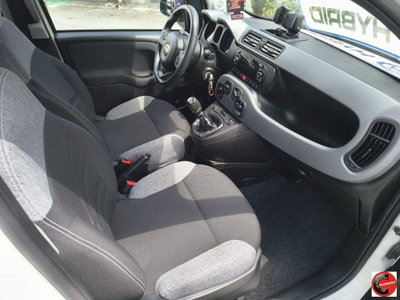 Fiat Panda 1.0 FireFly S&S Hybrid City Life (6)