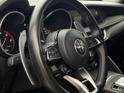Alfa Romeo Stelvio Stelvio 2.2 Turbodiesel 210 CV AT8 Q4 Estrema (11)