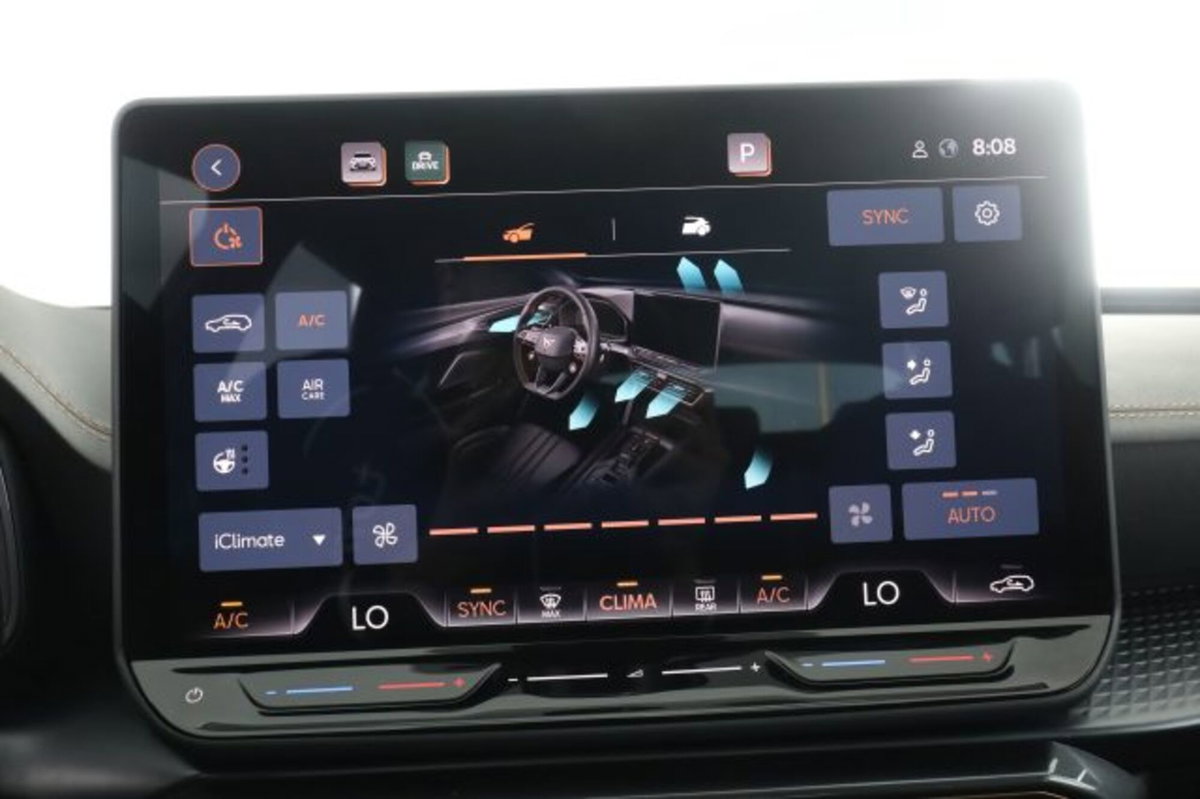 Cupra Formentor Formentor 2.0 TDI (11)