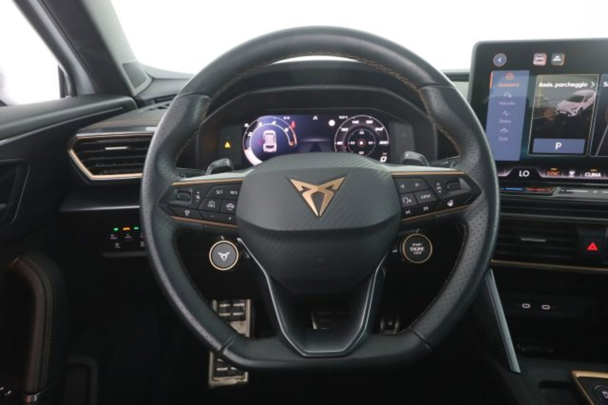 Cupra Formentor Formentor 2.0 TDI (5)