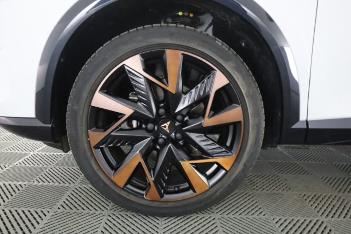 Cupra Formentor Formentor 2.0 TDI (8)