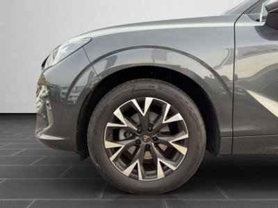 Cupra Terramar 1.5 hybrid 150cv dsg (17)