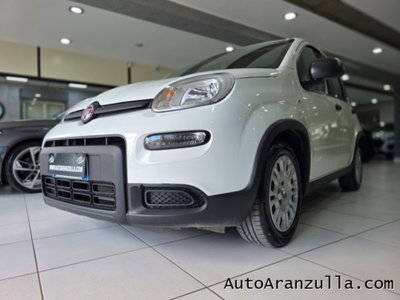 Fiat Panda 1.0 firefly hybrid s&s 70cv (19)