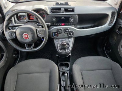 Fiat Panda Cross 1.0 firefly hybrid Cross s&s 70cv 5p.ti (8)