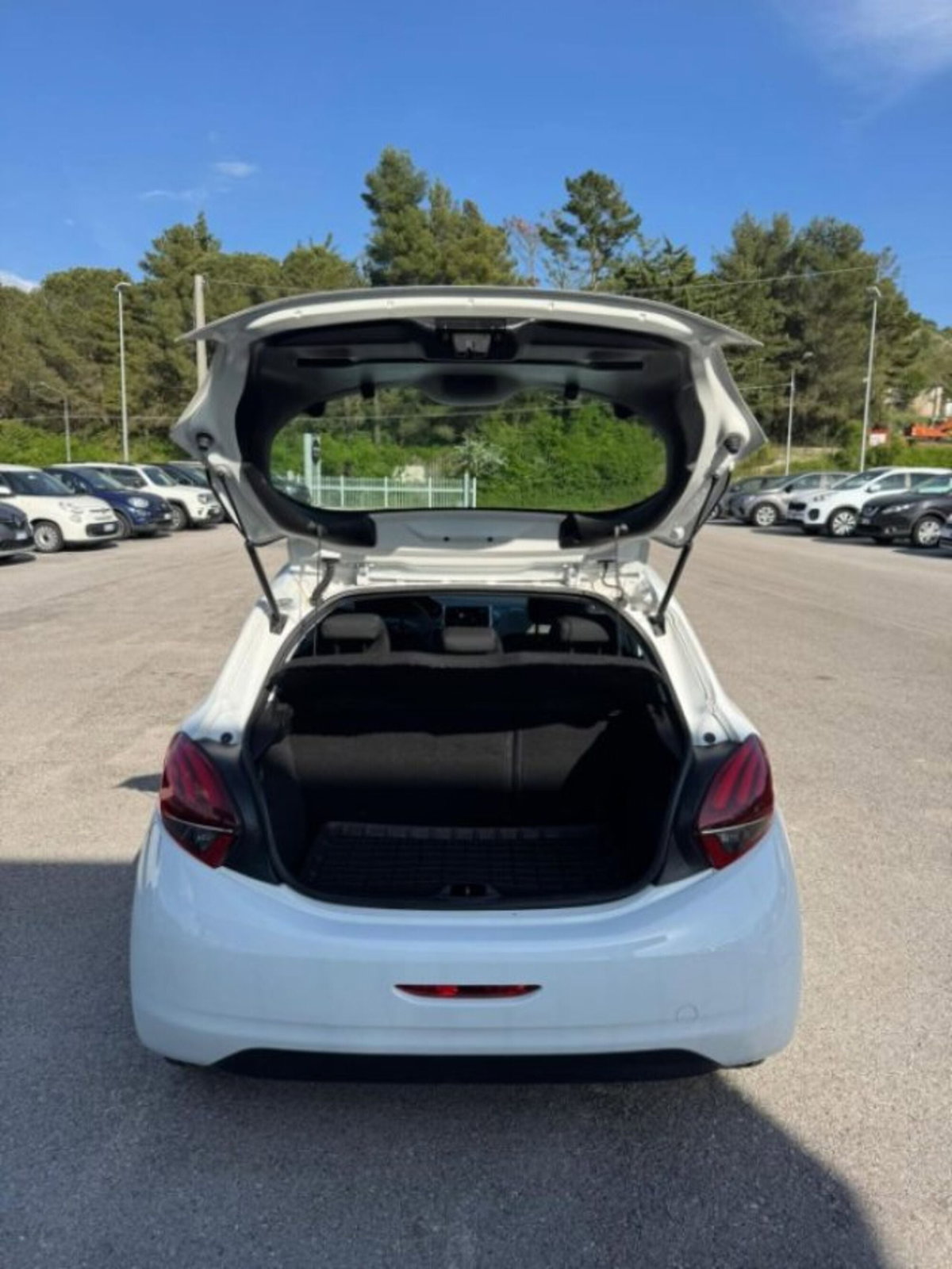 Peugeot 208 75 5 porte Active (14)