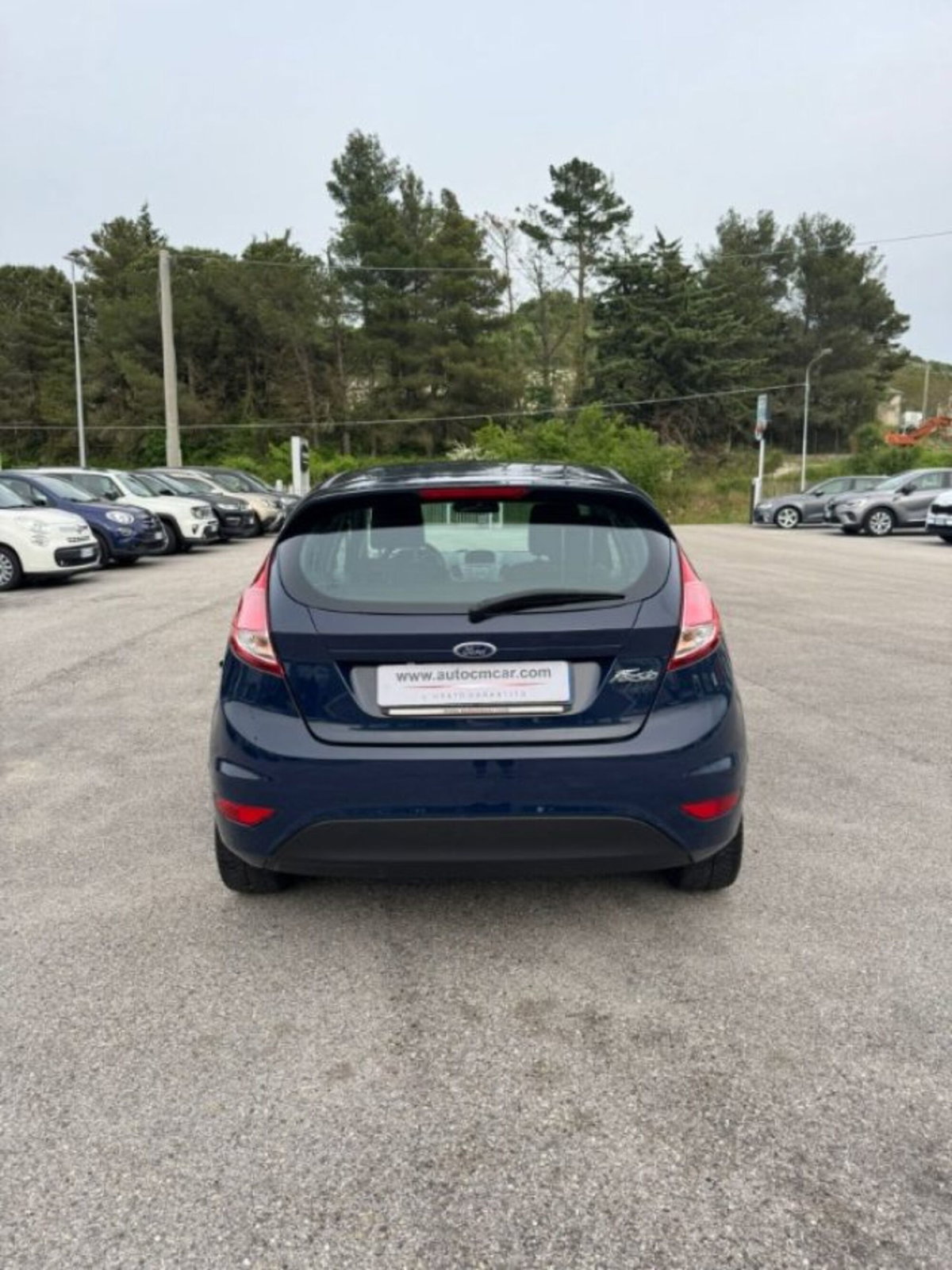 Ford Fiesta 1.6 TDCi 95 CV 5p. Titanium (15)