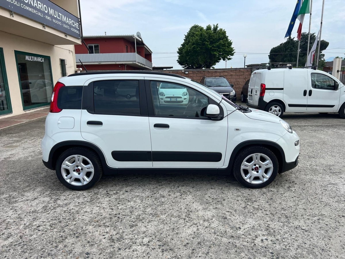 Fiat Panda 1.0 FireFly S&S Hybrid City Cross (3)
