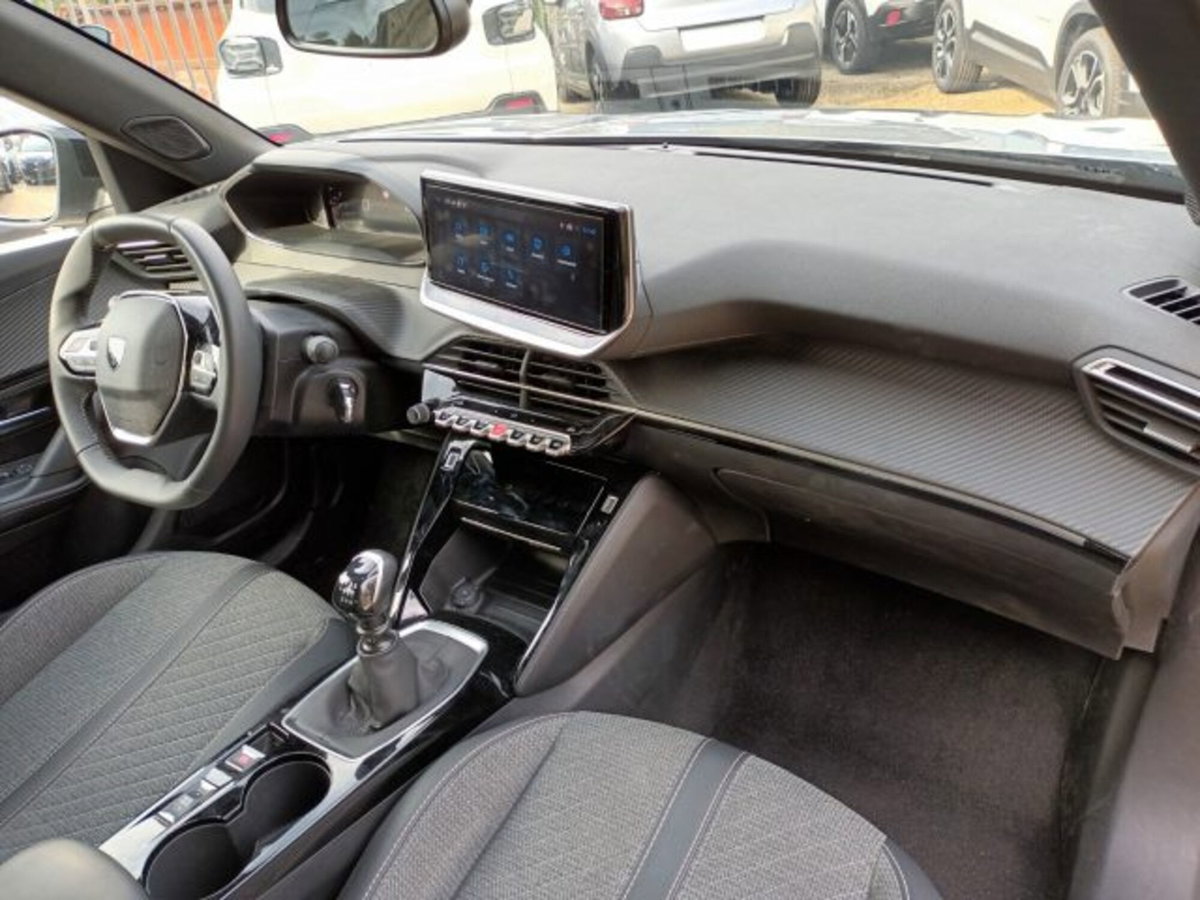 Peugeot 2008 PureTech 100 S&S Allure (8)