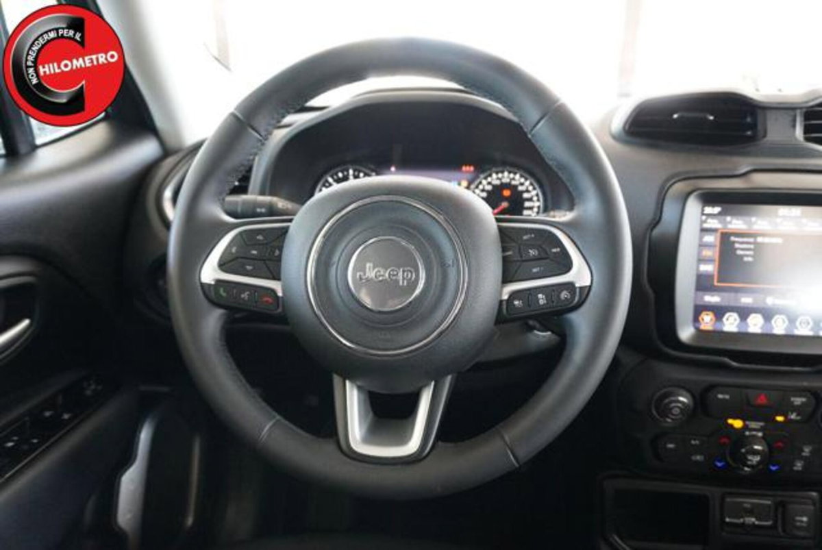 Jeep Renegade 1.6 Mjt 130 CV Limited (10)