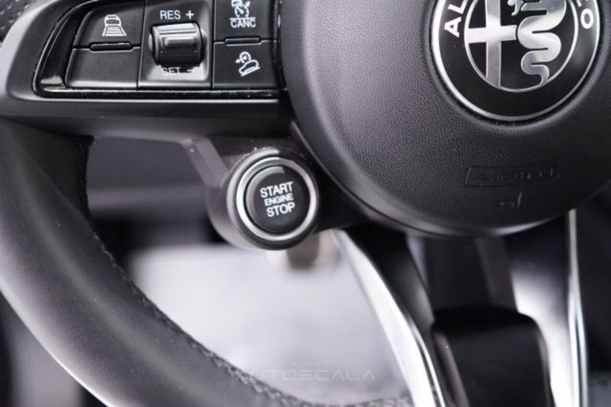 Alfa Romeo Stelvio Stelvio 2.2 Turbodiesel 160 CV AT8 RWD Sprint (14)