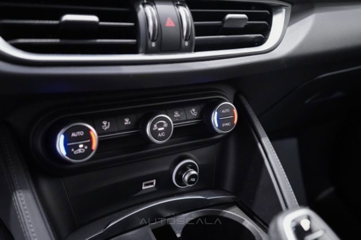 Alfa Romeo Stelvio Stelvio 2.2 Turbodiesel 160 CV AT8 RWD Sprint (17)