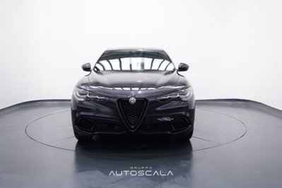 Alfa Romeo Stelvio Stelvio 2.2 Turbodiesel 160 CV AT8 RWD Sprint (2)