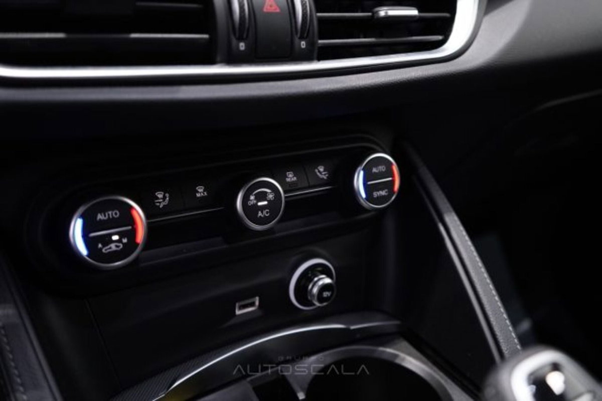Alfa Romeo Stelvio Stelvio 2.2 Turbodiesel 160 CV AT8 RWD Sprint (20)
