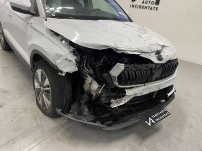 Skoda Karoq 2.0 TDI EVO SCR 115 CV DSG Executive (10)