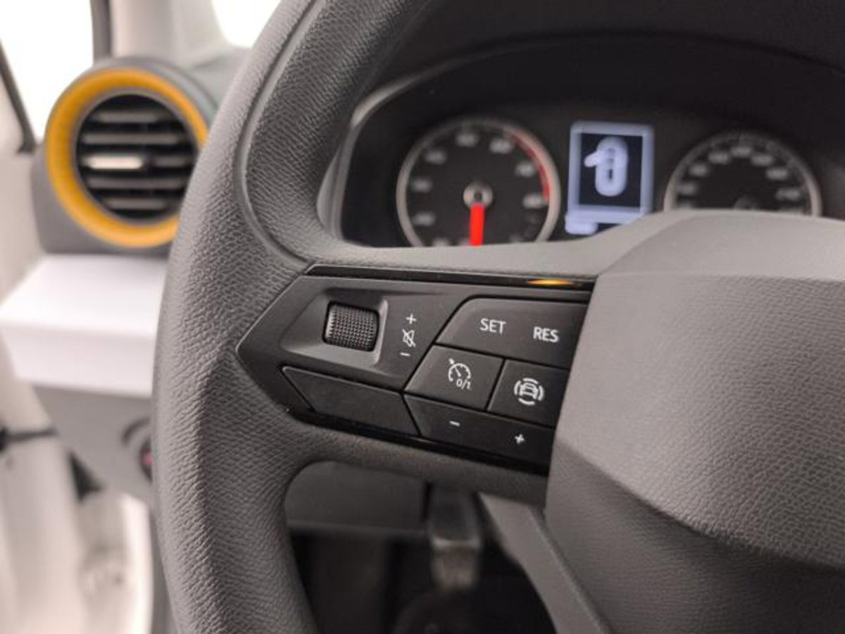 SEAT Ibiza 1.0 TGI 5 porte Reference (14)