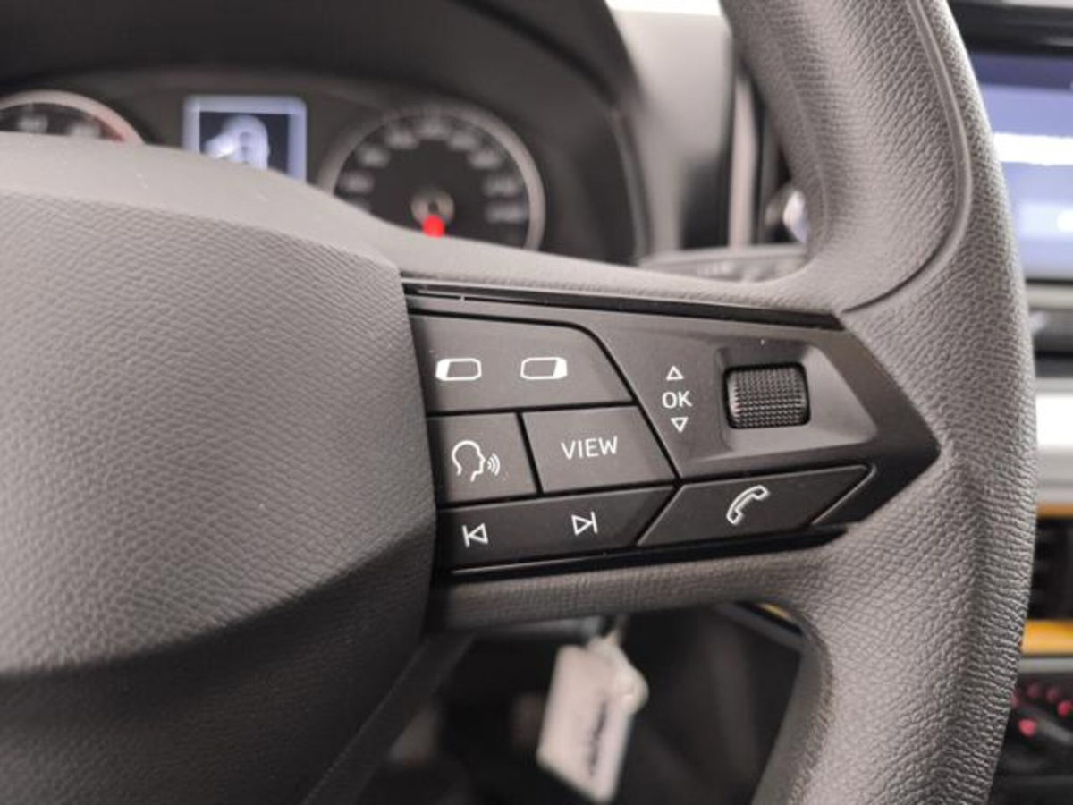 SEAT Ibiza 1.0 TGI 5 porte Reference (15)