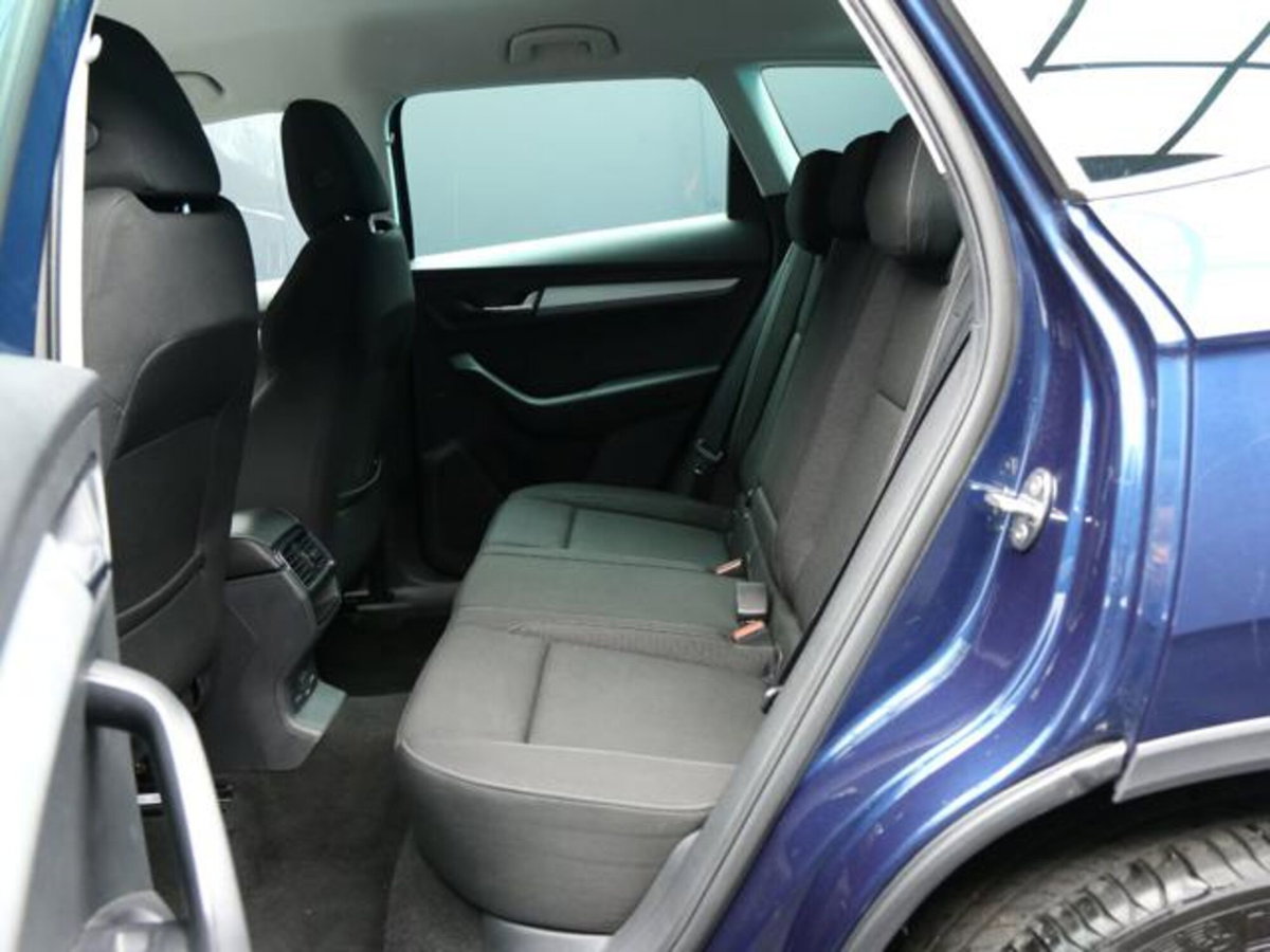 Skoda Karoq 2.0 tdi Executive 115cv (7)