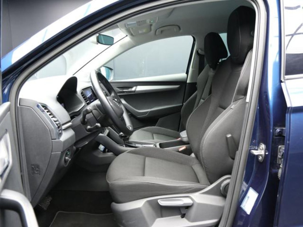 Skoda Karoq 2.0 tdi Executive 115cv (9)