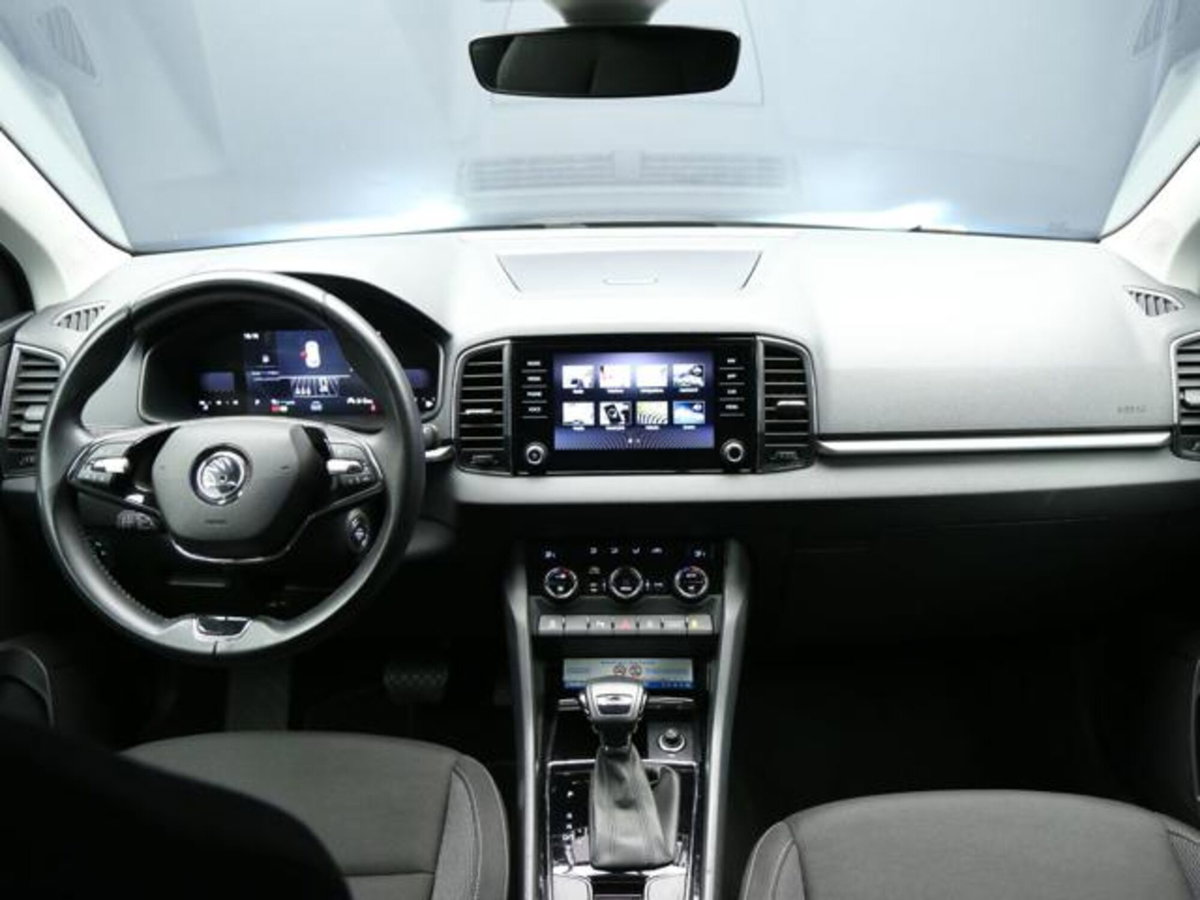 Skoda Karoq 2.0 tdi Executive 115cv (11)