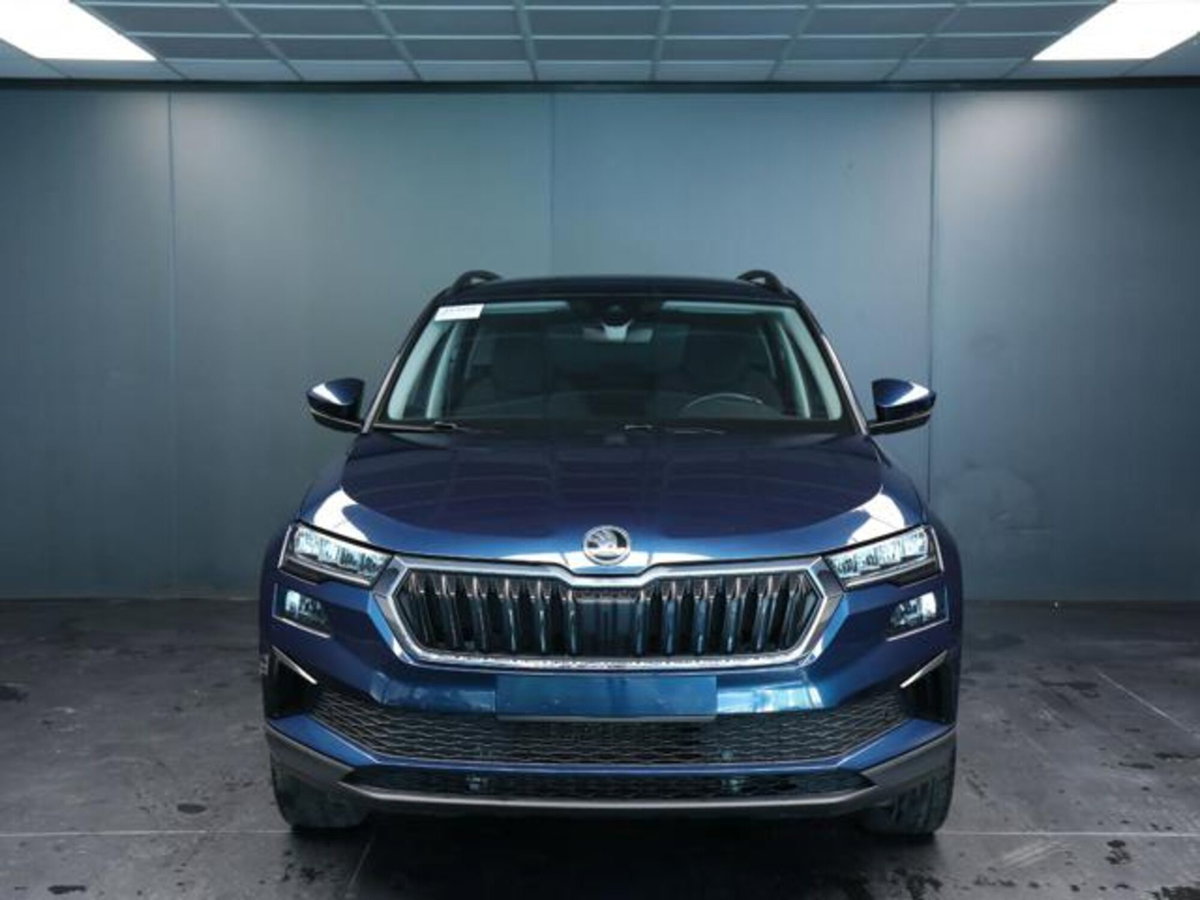 Skoda Karoq 2.0 tdi Executive 115cv (2)