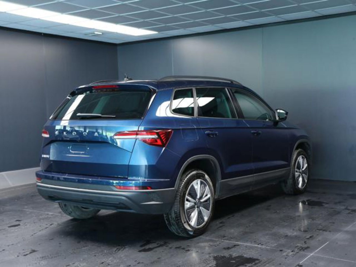 Skoda Karoq 2.0 tdi Executive 115cv (3)