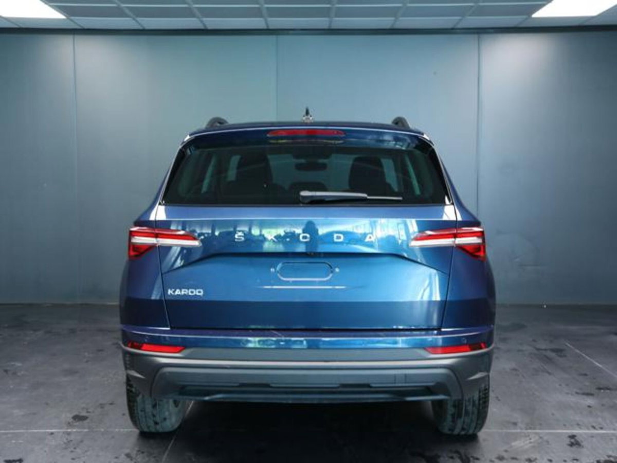 Skoda Karoq 2.0 tdi Executive 115cv (4)
