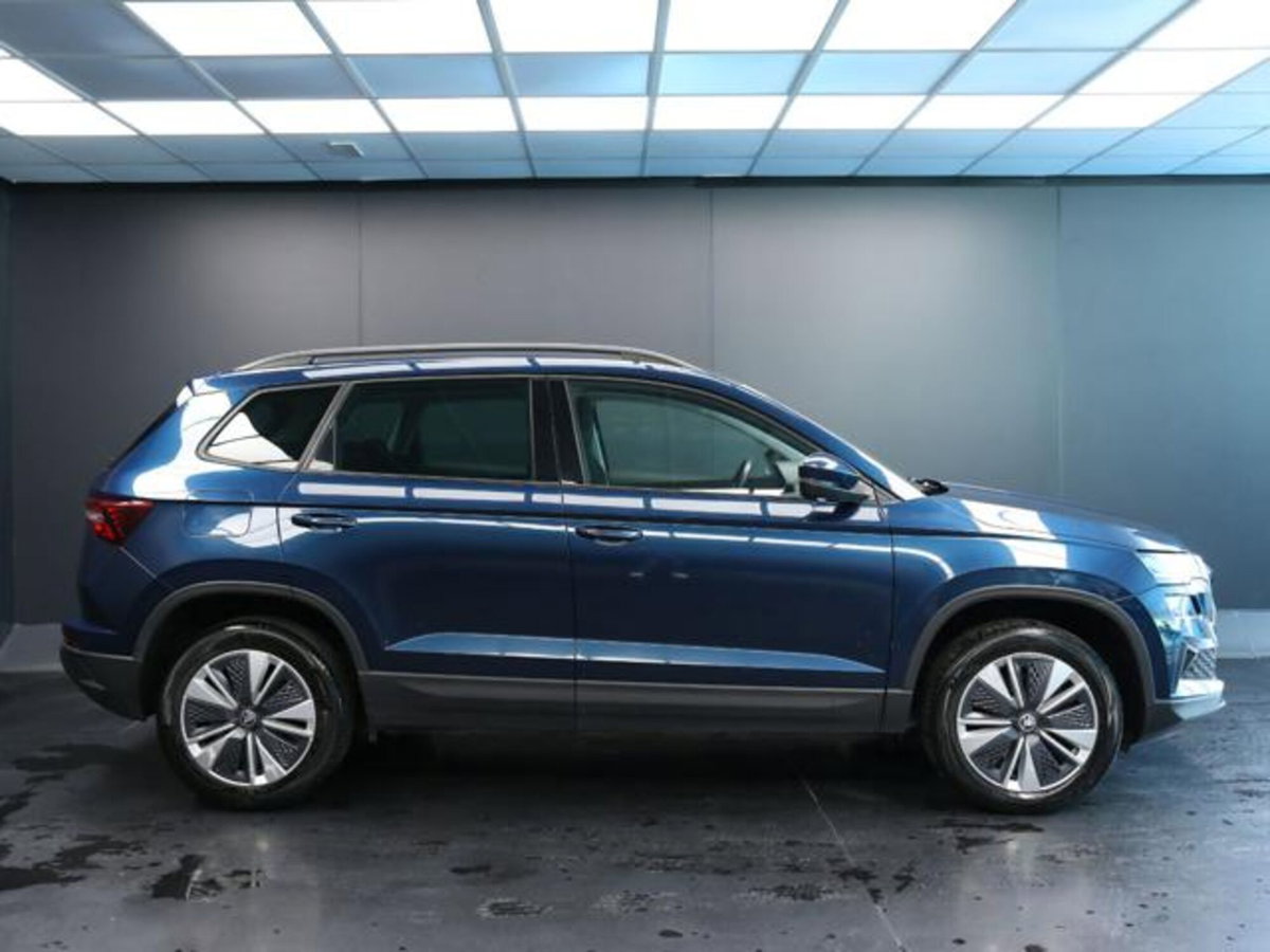 Skoda Karoq 2.0 tdi Executive 115cv (6)