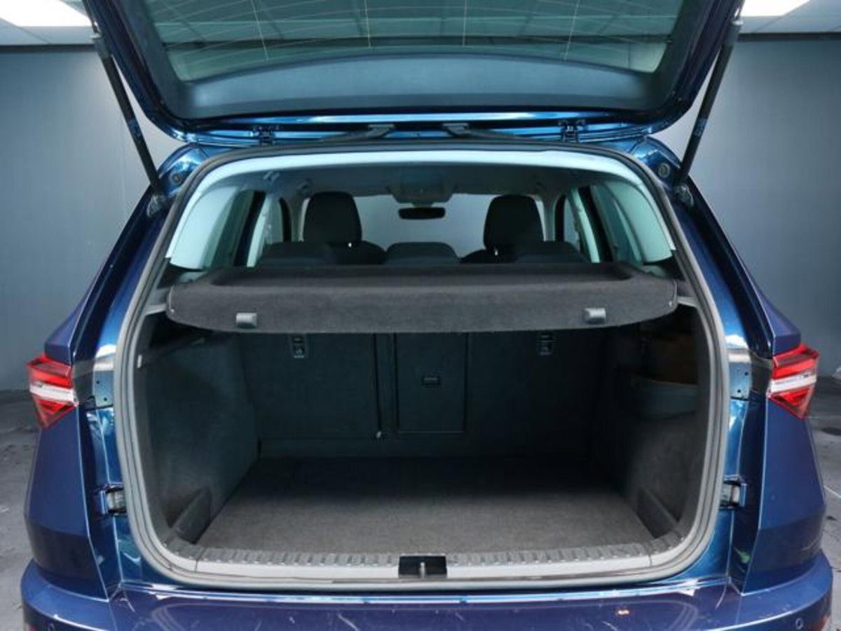 Skoda Karoq 2.0 tdi Executive 115cv (8)