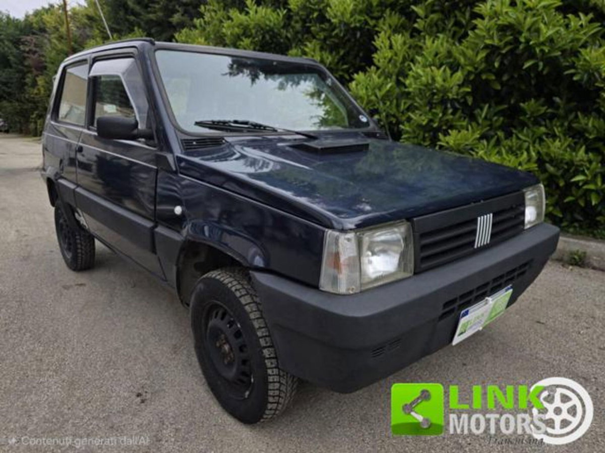 Fiat Panda 1100 i.e. cat 4x4 Country Club (13)