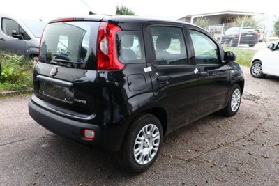 Fiat Pandina 1.0 firefly hybrid Icon s&s 65cv (2)