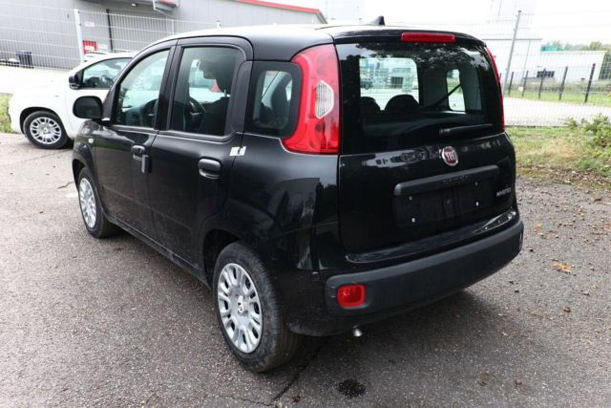 Fiat Pandina 1.0 firefly hybrid Icon s&s 65cv (3)