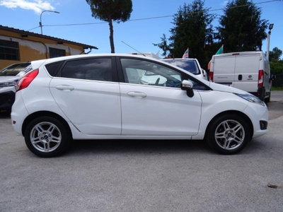 Ford Fiesta 1.4 5 porte Bz.- GPL Titanium (10)