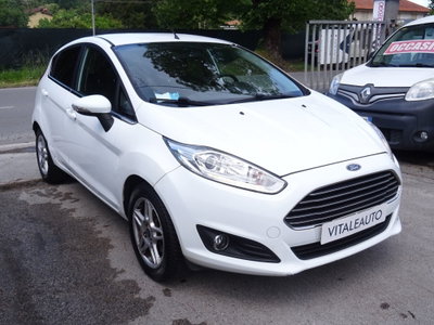 Ford Fiesta 1.4 5 porte Bz.- GPL Titanium (2)