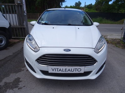 Ford Fiesta 1.4 5 porte Bz.- GPL Titanium (3)
