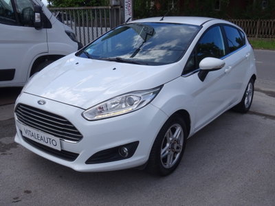 Ford Fiesta 1.4 5 porte Bz.- GPL Titanium (6)