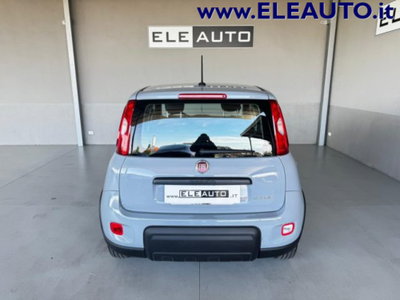 Fiat Panda 1.0 firefly hybrid s&s 70cv 5p.ti (5)