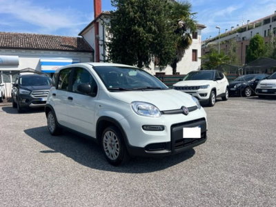 Fiat Panda 1.0 firefly hybrid s&s 70cv 5p.ti usata