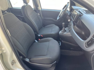 Fiat Panda 1.0 firefly hybrid s&s 70cv 5p.ti (11)