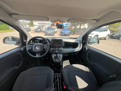 Fiat Panda 1.0 firefly hybrid s&s 70cv 5p.ti (15)