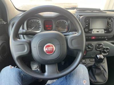 Fiat Panda 1.0 firefly hybrid s&s 70cv 5p.ti (16)