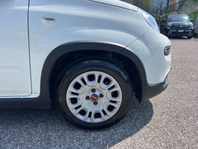 Fiat Panda 1.0 firefly hybrid s&s 70cv 5p.ti (3)