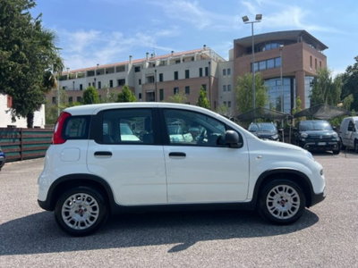 Fiat Panda 1.0 firefly hybrid s&s 70cv 5p.ti (4)