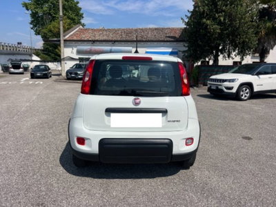 Fiat Panda 1.0 firefly hybrid s&s 70cv 5p.ti (5)