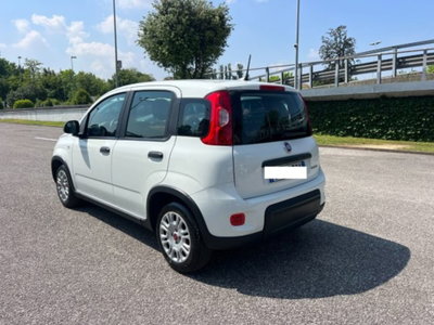 Fiat Panda 1.0 firefly hybrid s&s 70cv 5p.ti (6)