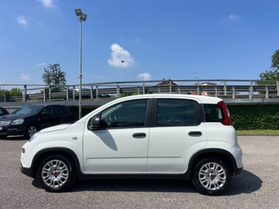 Fiat Panda 1.0 firefly hybrid s&s 70cv 5p.ti (7)